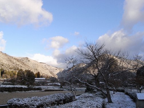 初雪